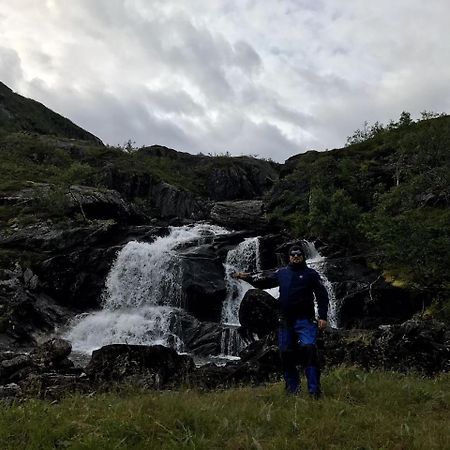 Gullesfjord Camping 외부 사진